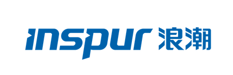 inspur